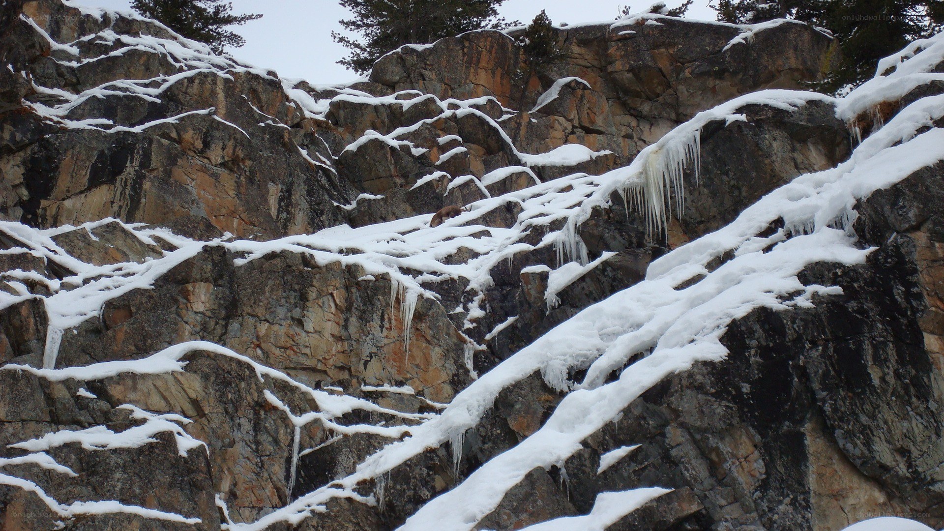 Snow-covered rocky cliff
