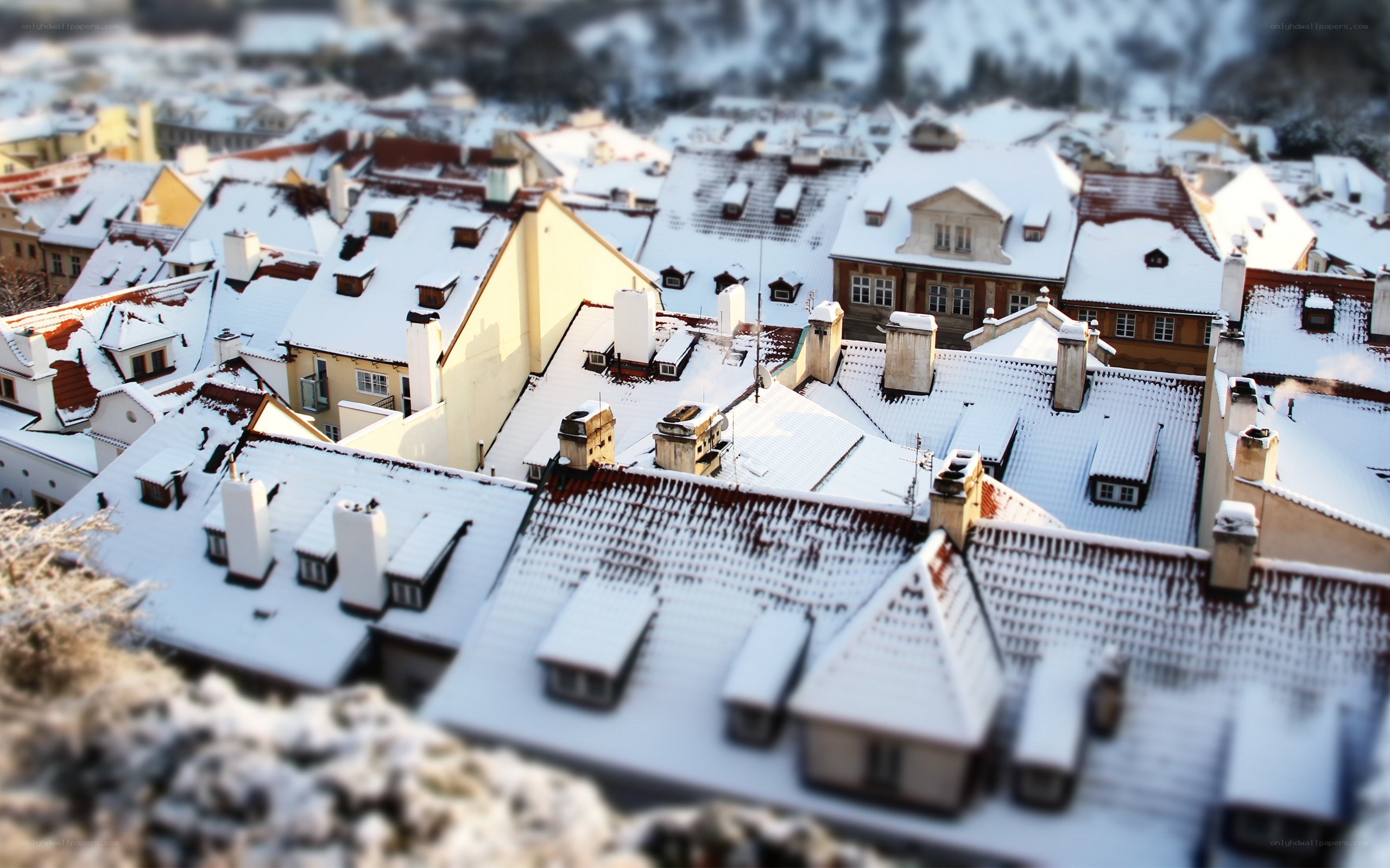 Snow-covered rooftops in winter
