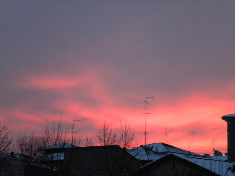 Snow-covered Rooftops — Pink