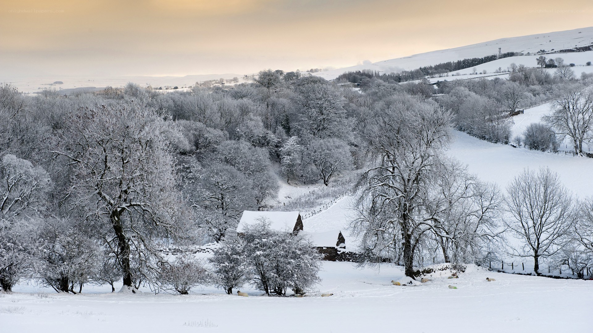 Snow-covered rural landscape