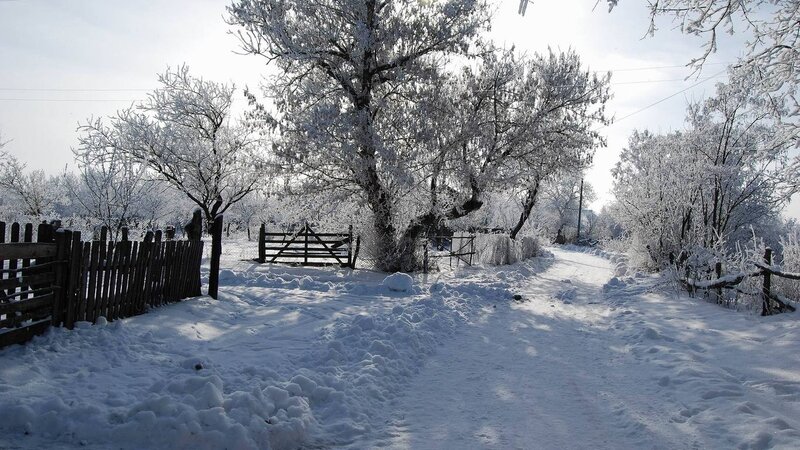 Snow-covered rural path