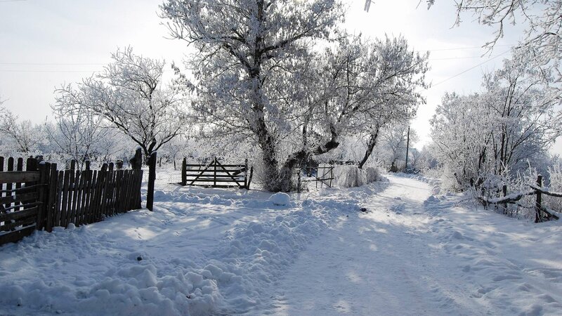 Snow-covered rural path