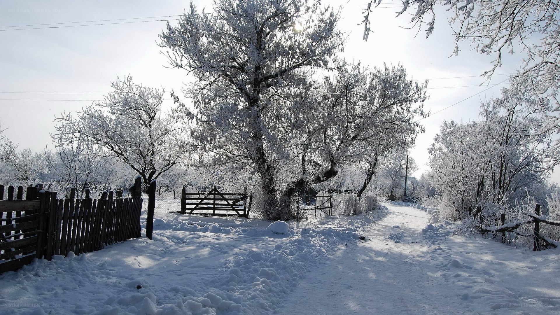 Snow-covered rural path