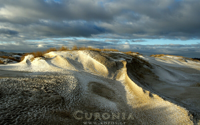 Snow-covered Sand Dunes