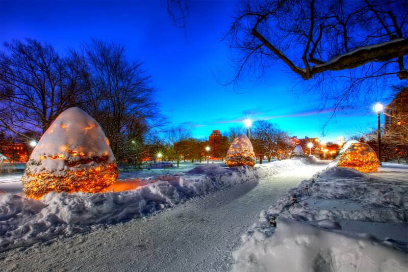 Snow-covered Sculptures