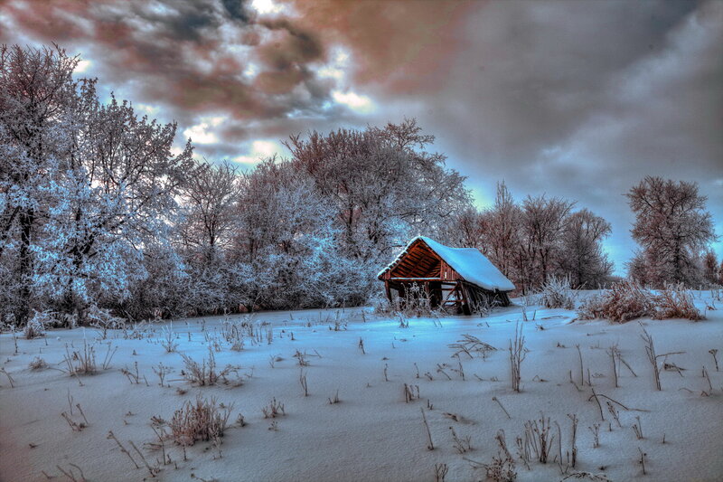 Snow-covered Shed in Field