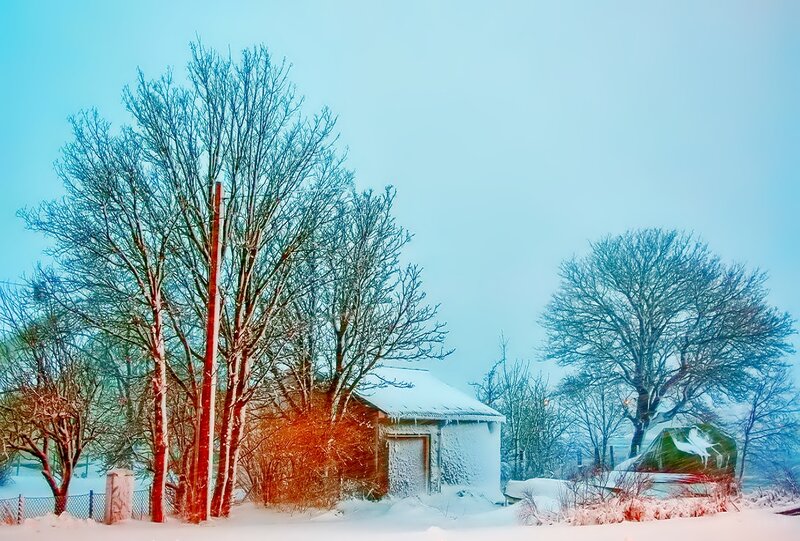 Snow-covered Shed in Winter — White