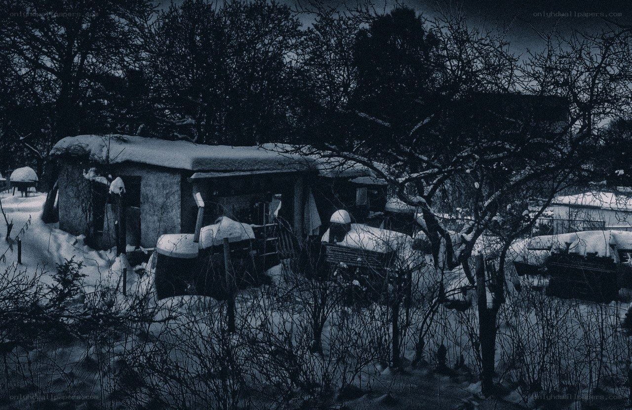 Snow-covered shed in winter