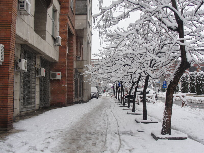 Snow-covered Sidewalk