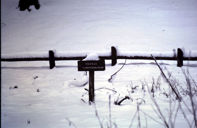 Snow-covered Sign