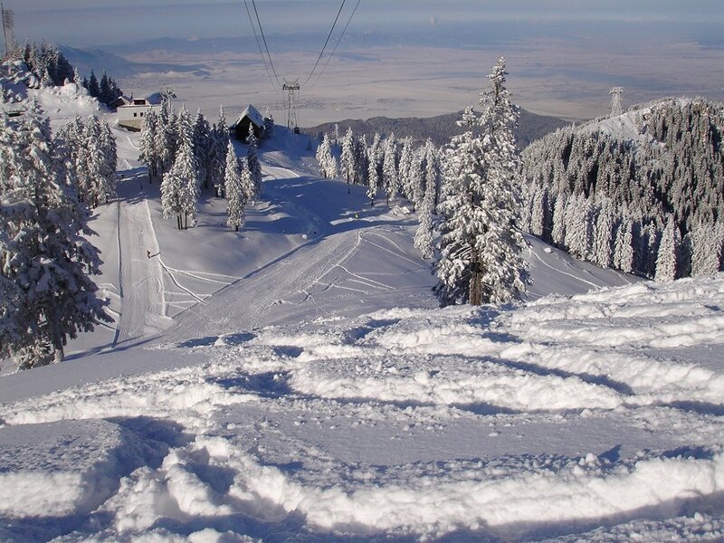 Snow-covered Ski Slope
