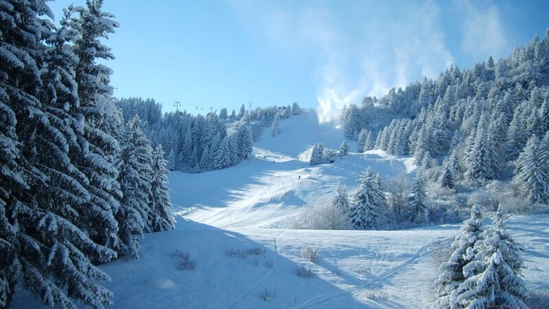 Snow-covered Ski Slope — White, Serene, Winter, Photograph, Pine Trees, Ski Lift