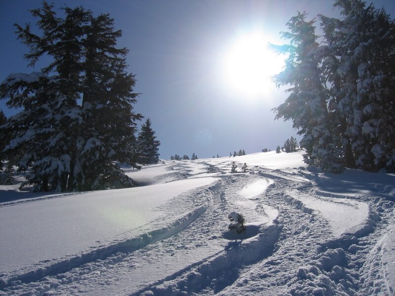 Snow-covered Ski Trail
