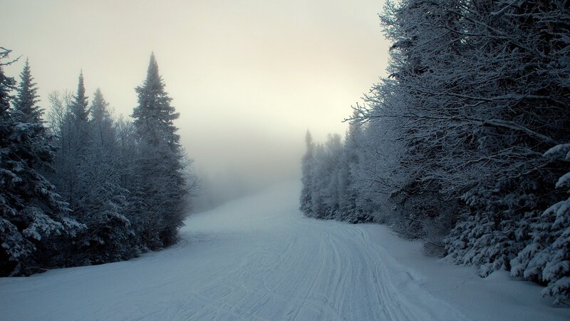 Snow-covered Ski Trail — White, Serene, Winter, Photograph