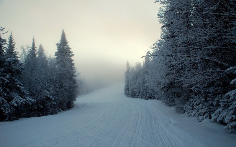 Snow-covered Ski Trail — White