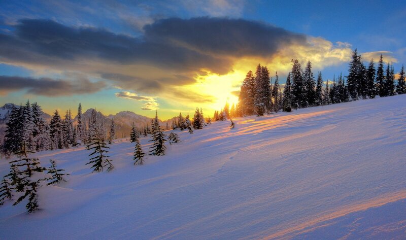 Snow-covered Slope with Trees