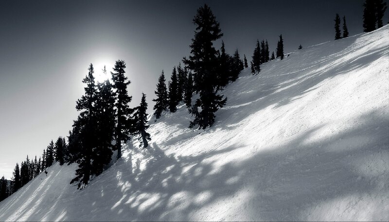 Snow-covered Slope with Trees — White, Dramatic