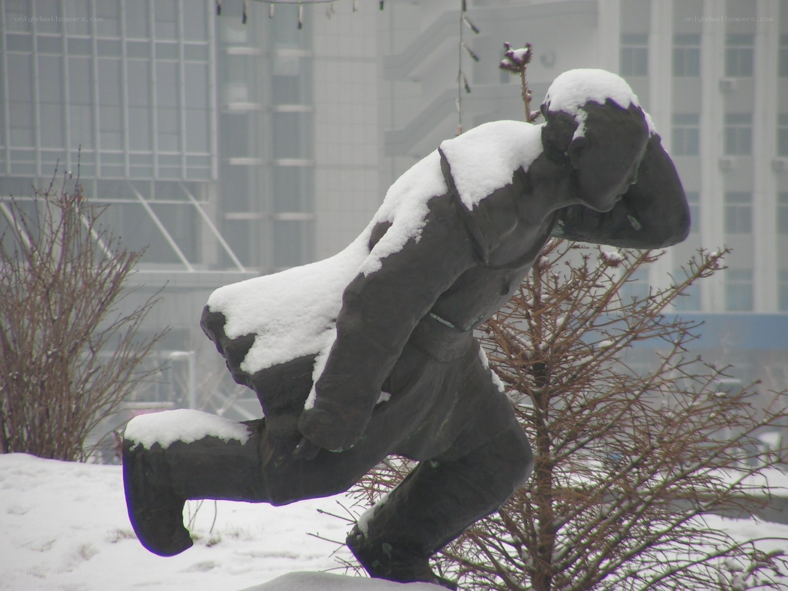 Snow-covered statue in winter