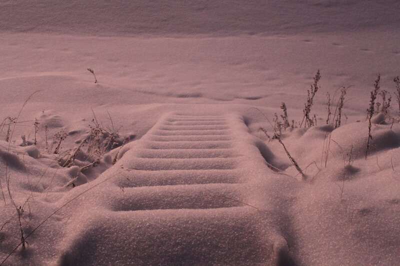 Snow-covered steps in winter