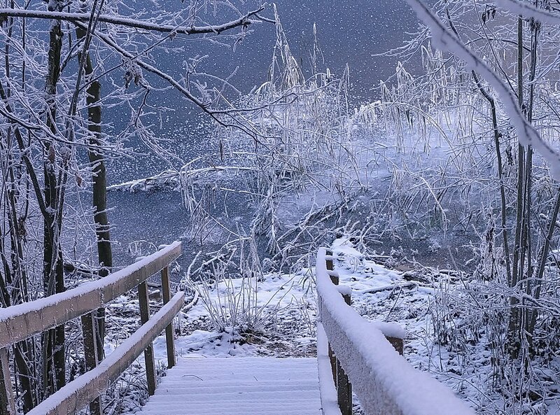 Snow-covered Steps — White
