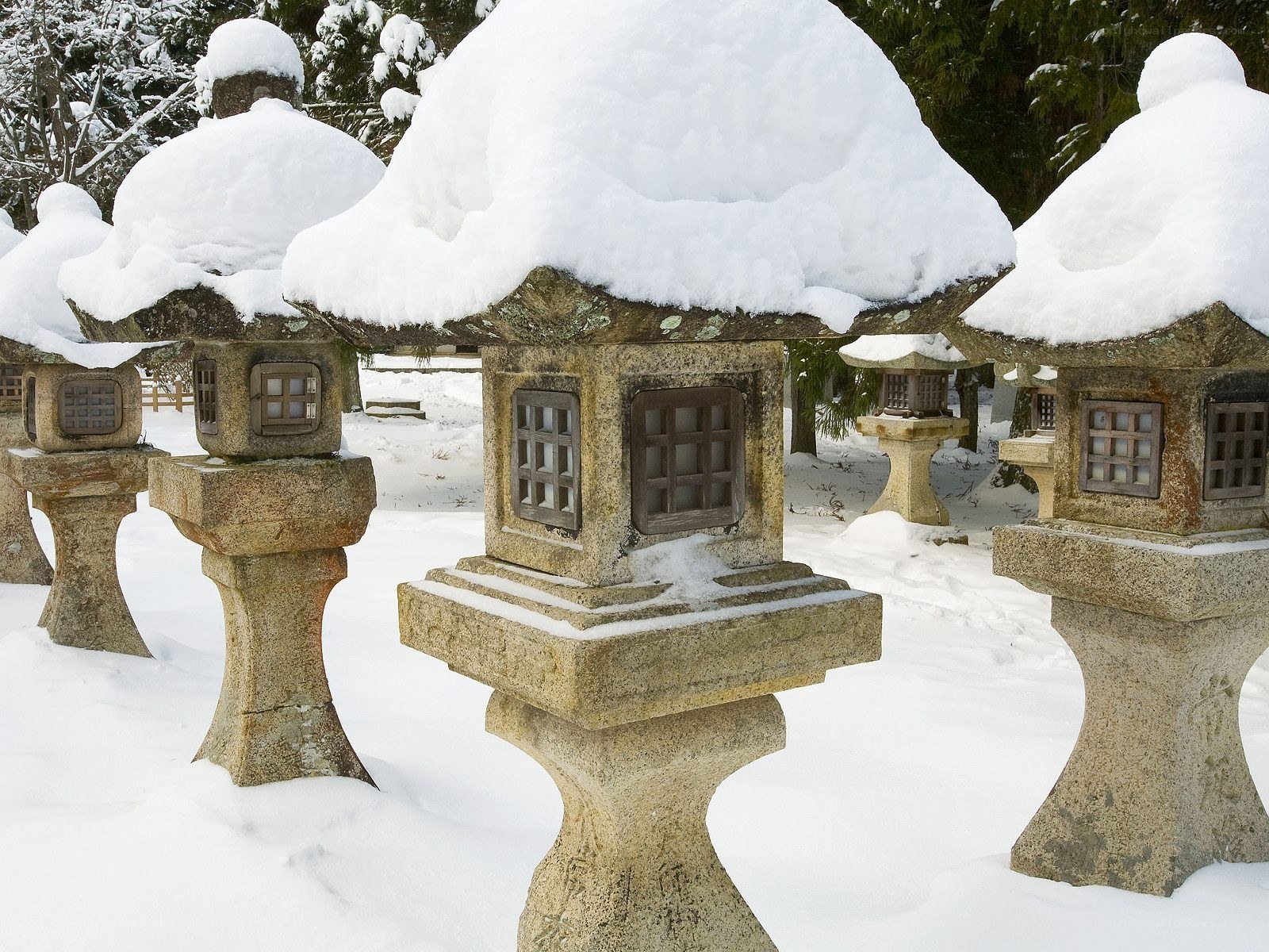Snow-covered stone lanterns