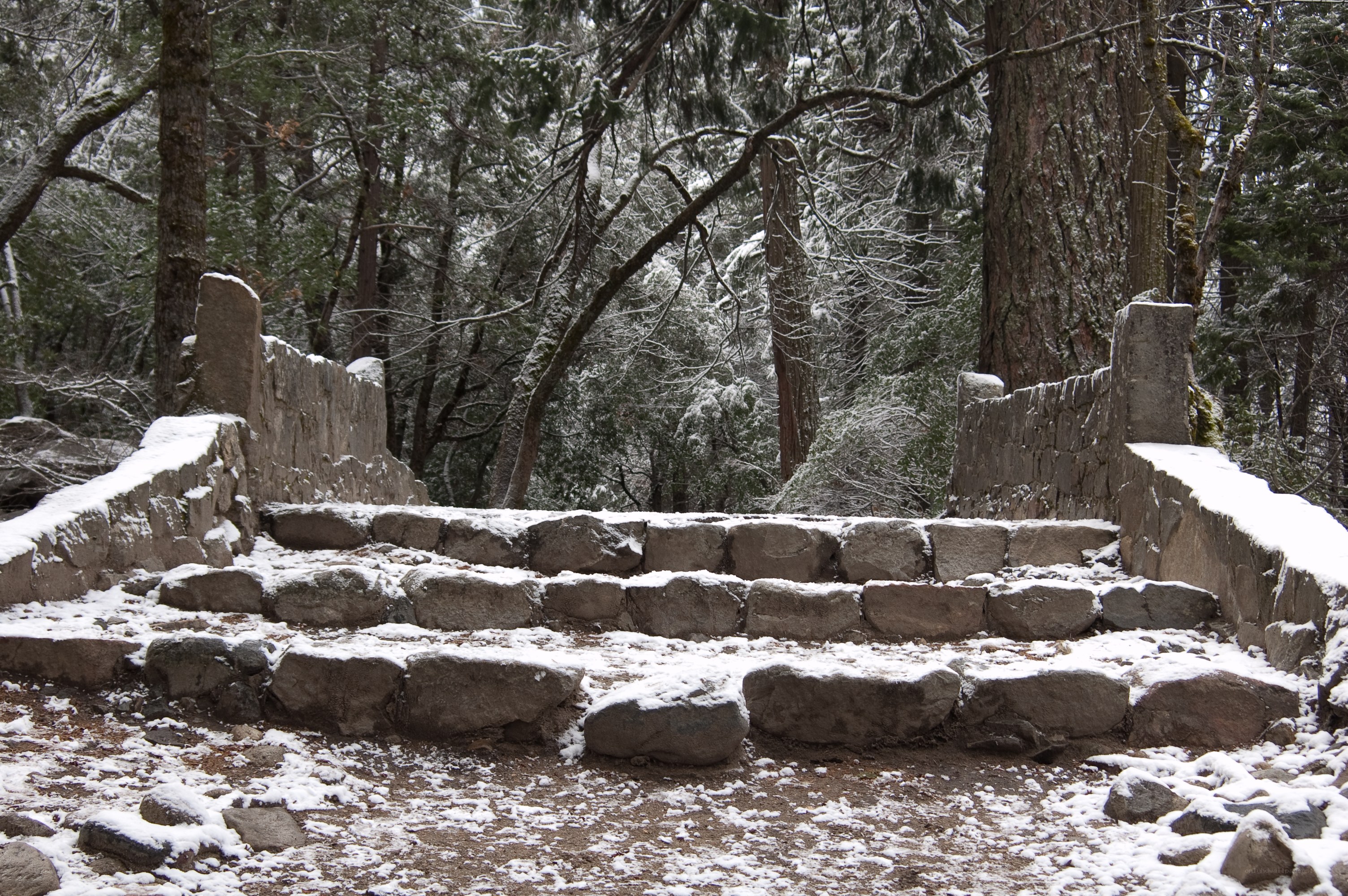 Snow-covered stone steps in forest