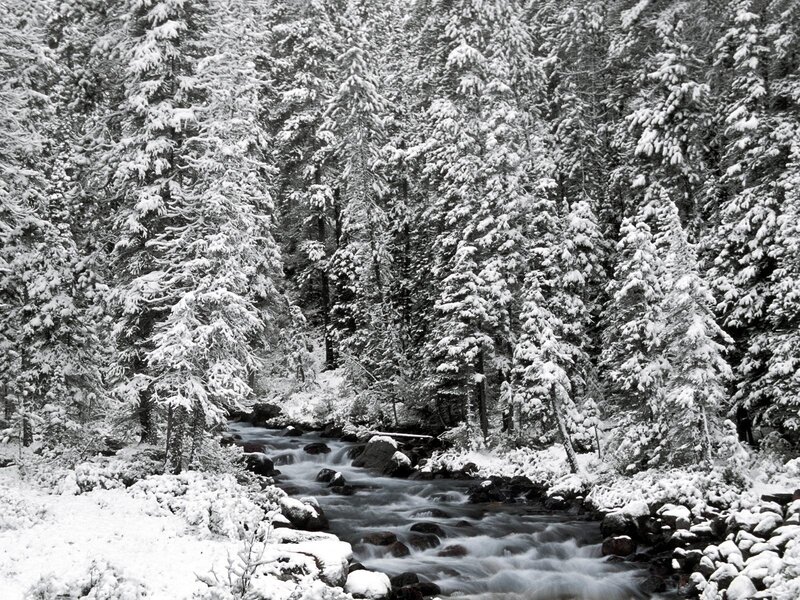 Snow-covered Stream — Black, Serene, Winter, Photograph