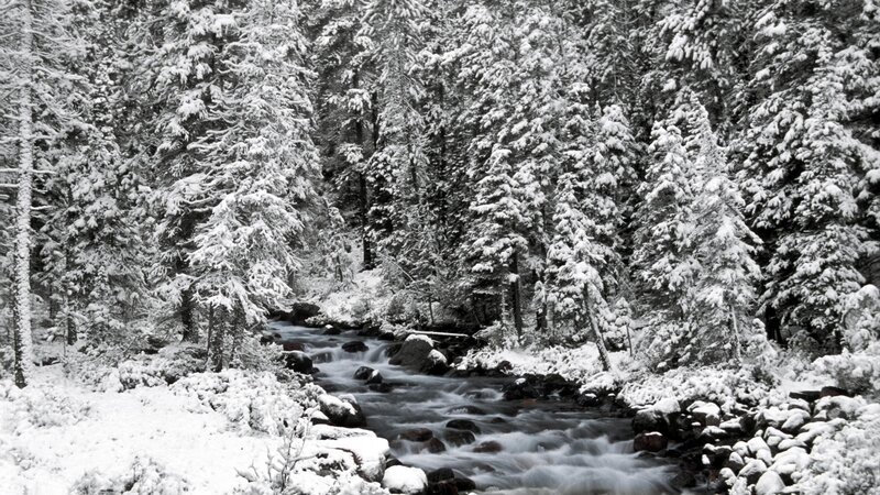 Snow-covered Stream — Black, Serene, Winter, Photograph, Trees, Rocks