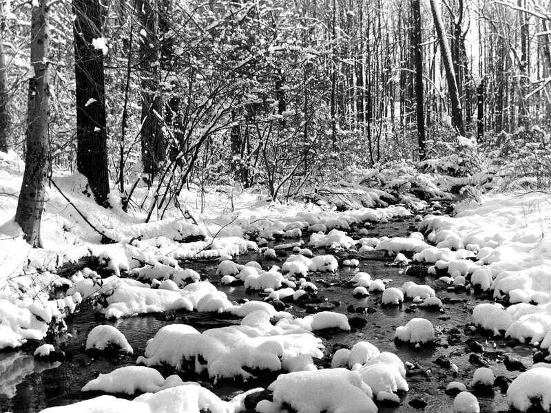 Snow-covered Stream — Black, Serene, Winter