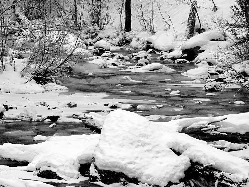 Snow-covered Stream — Black