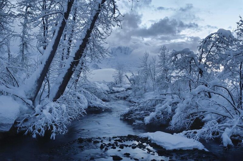 Snow-covered Stream — Blue, Cold