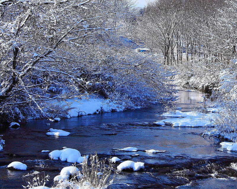 Snow-covered Stream — Blue, Serene