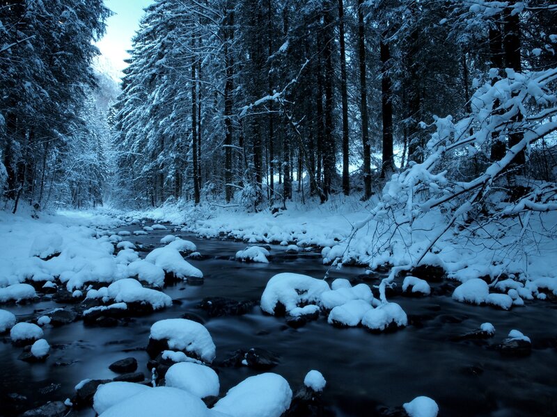 Snow-covered Stream — Blue, Serene, Winter, Photograph, Forest