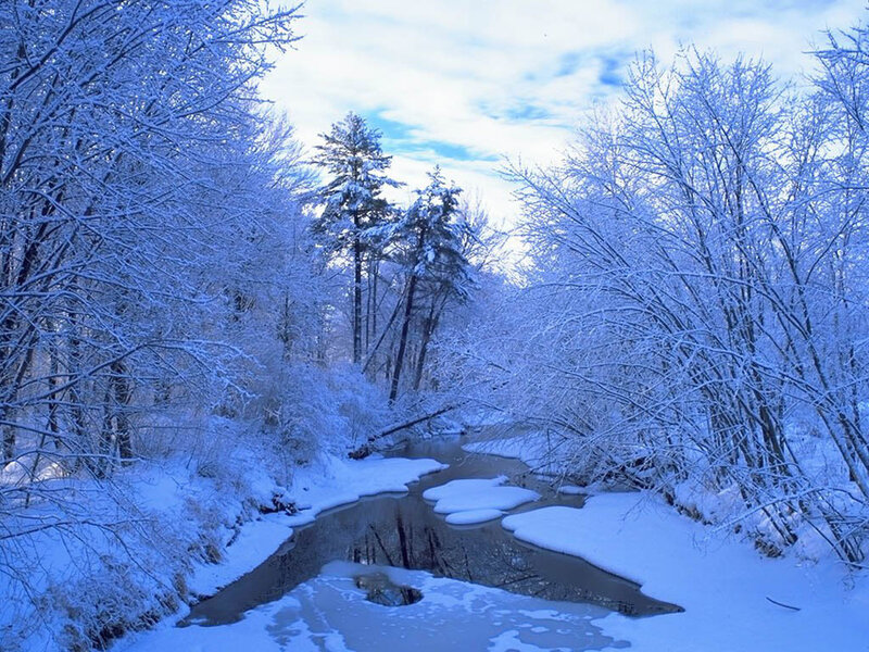 Snow-covered Stream — Blue, Serene, Winter, Photograph, Trees, River, Sky