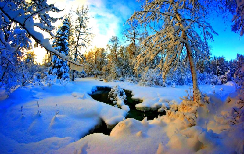 Snow-covered Stream — Blue, Serene, Winter, Photograph, Trees, River, Snow