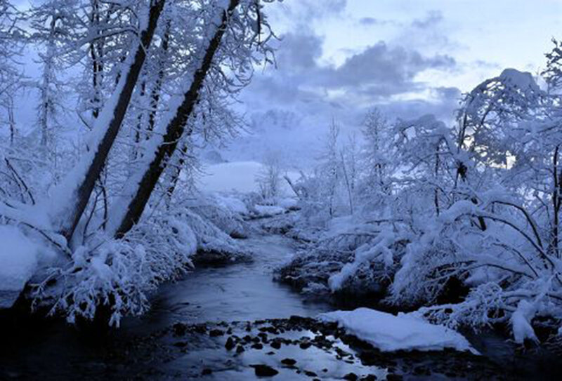 Snow-covered Stream — Blue, Serene, Winter, Photograph, Trees, River