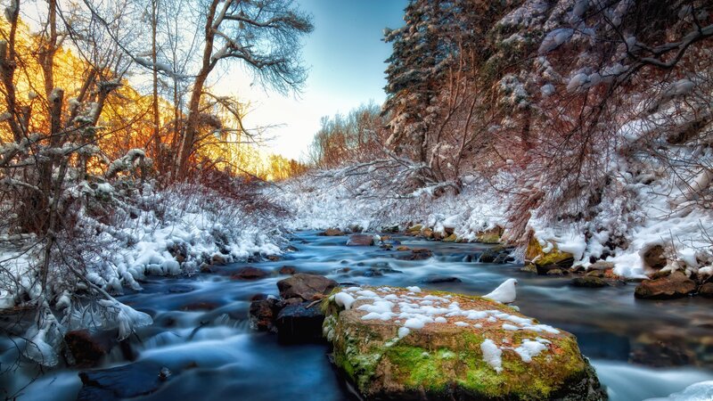 Snow-covered Stream — Blue, Serene, Winter, Photograph, Trees, Rocks