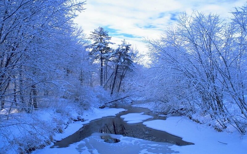 Snow-covered Stream — Blue, Serene, Winter, Photograph, Trees