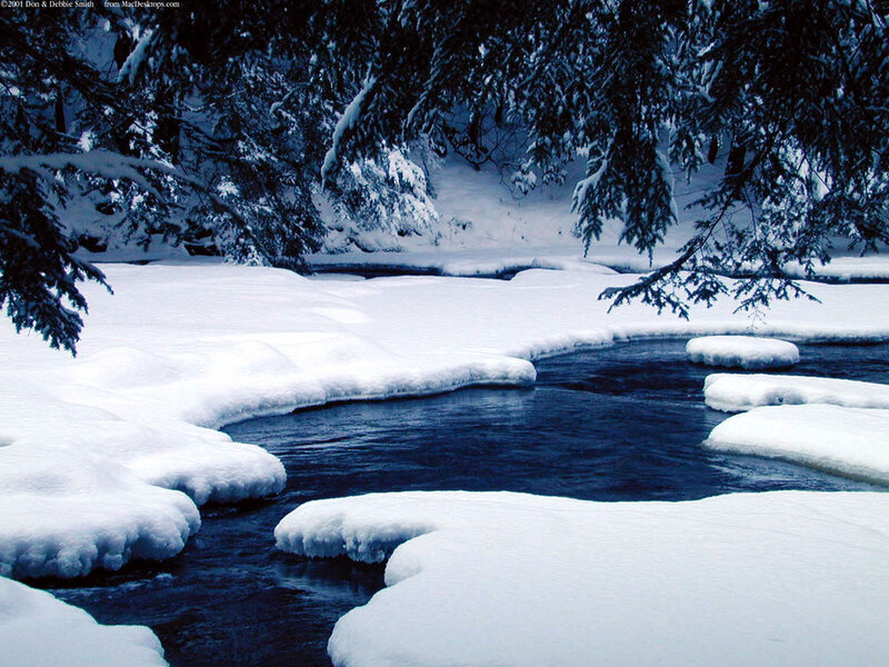 Snow-covered Stream — Blue, Serene, Winter