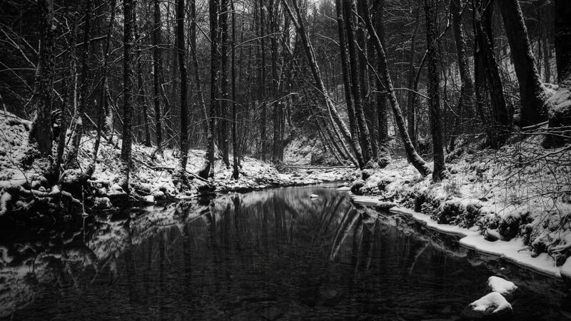Snow-covered Stream in Forest — Black, Serene, Winter, Photograph, Trees, Snow