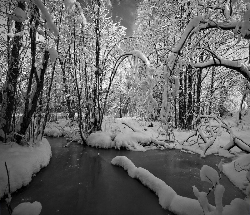 Snow-covered Stream in Forest — Black