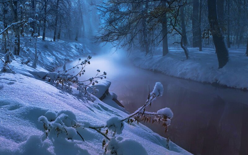 Snow-covered Stream in Forest — Blue, Serene