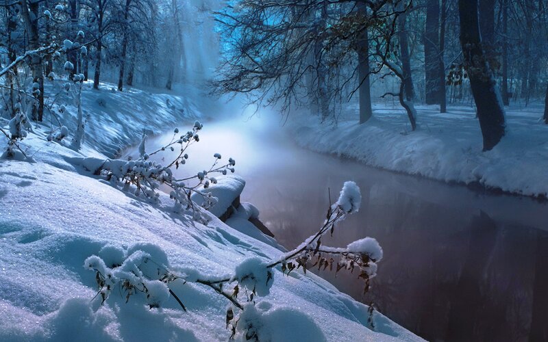 Snow-covered Stream in Forest — Blue