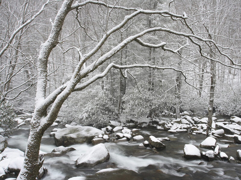 Snow-covered Stream in Forest — White, Serene, Winter, Photograph, Trees, Rocks