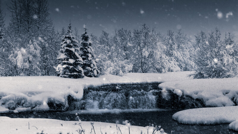 Snow-covered Stream in Forest — White