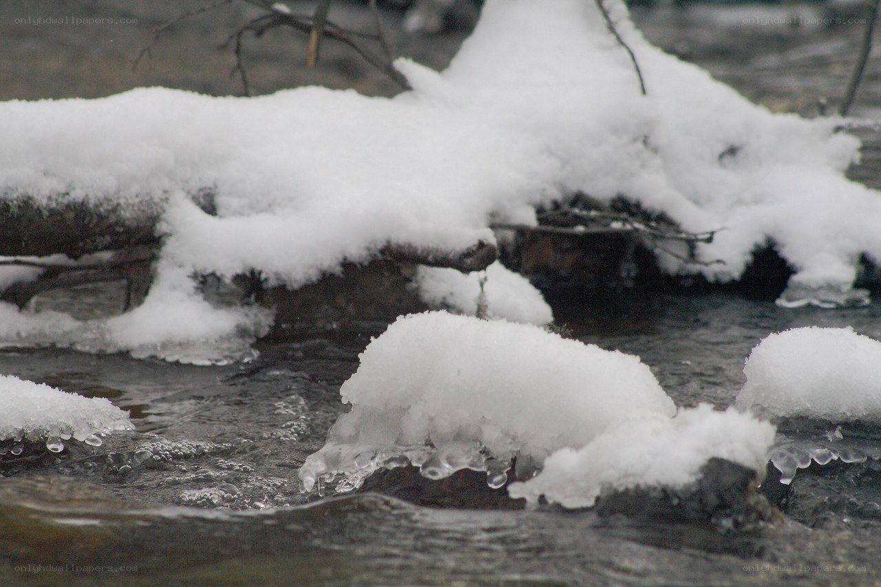 snow-covered stream in winter