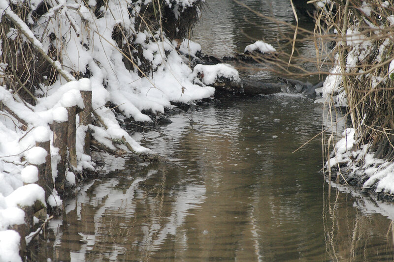 snow-covered stream in winter