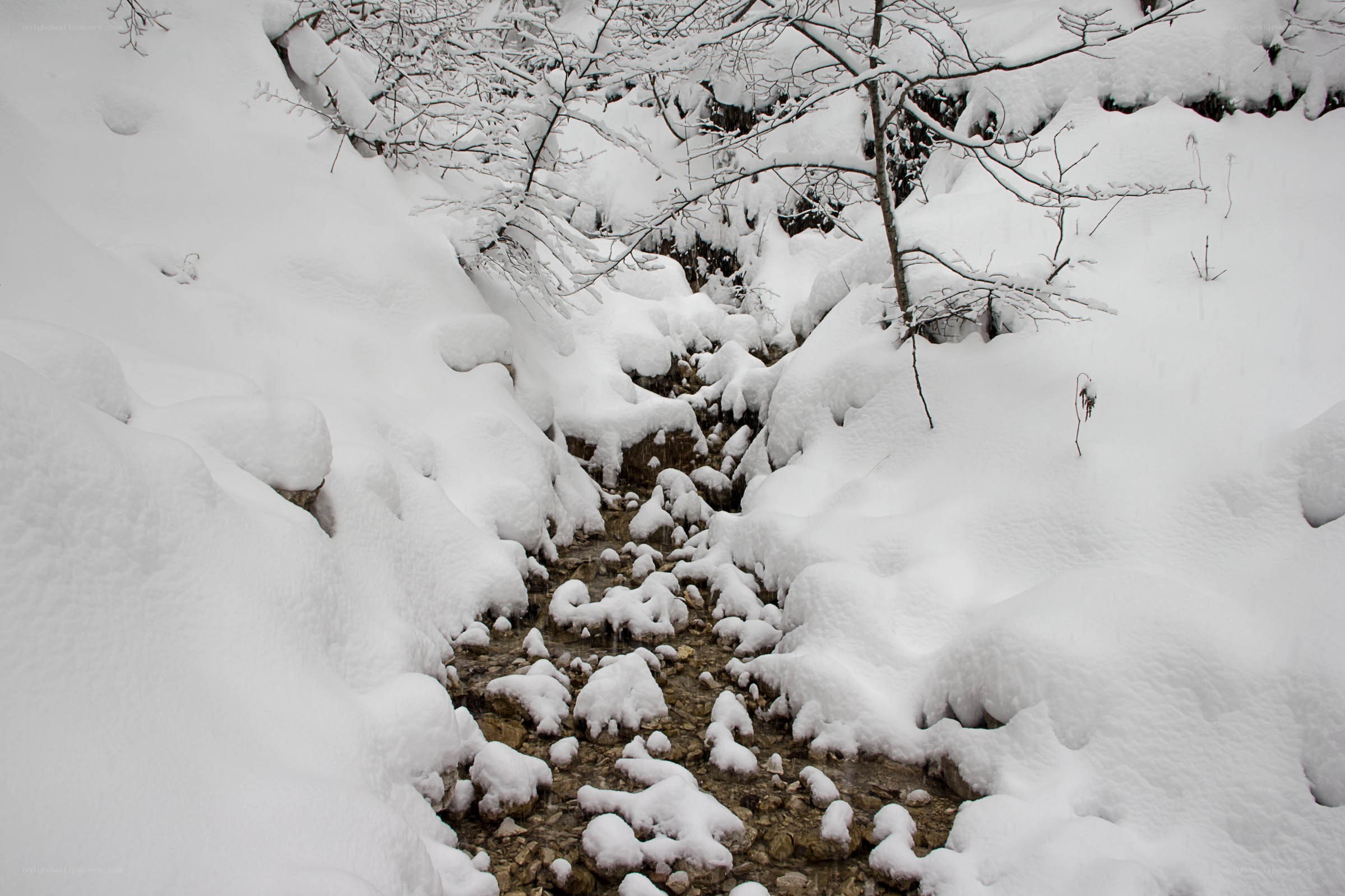 Snow-covered stream in winter