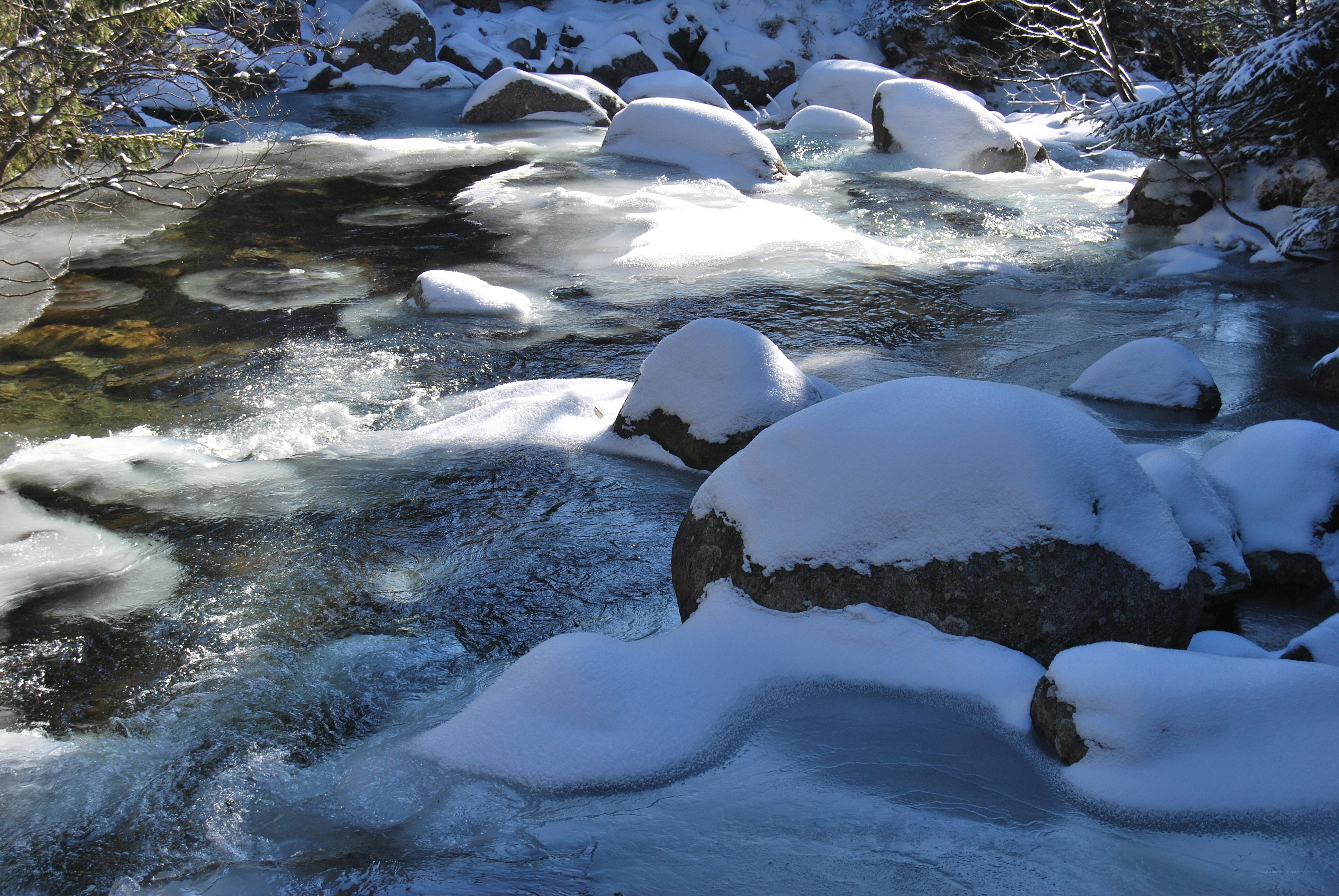 Snow-covered stream in winter