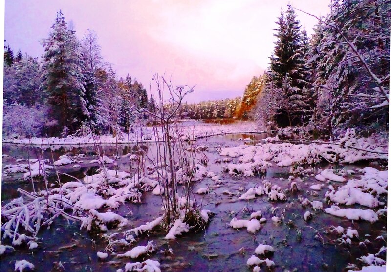 Snow-covered Stream — Purple